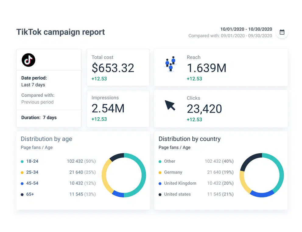TikTok Ads dashboard